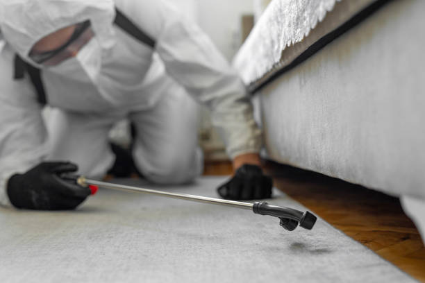 Professional Termite Control technician working in Mineral Springs, NC