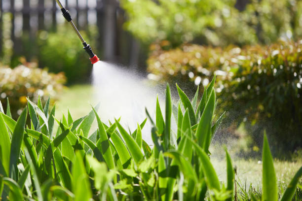 24/7 Emergency Termite Control experts in Mineral Springs, NC