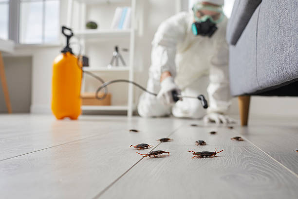 Trusted Fumigation Services service in Mineral Springs, NC - Nex Pest Control