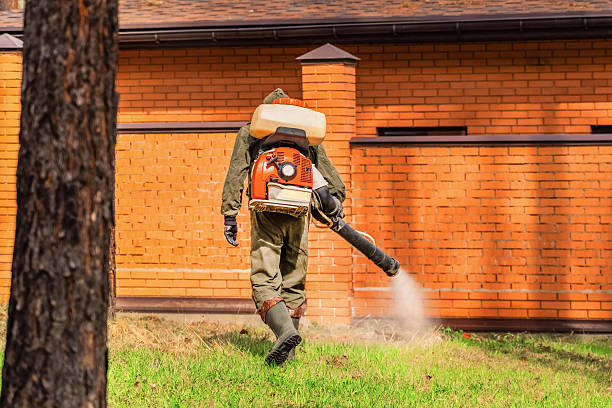 Trusted Mosquito Control service in Mineral Springs, NC - Nex Pest Control